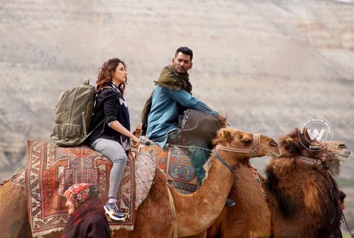 /media/k2/galleries/72786/Action-05