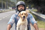 777 Charlie movie story, 777 Charlie review, 777 charlie movie review rating story cast and crew, Rakshit shetty