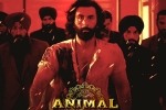 Animal new updates, Animal movie updates, record breaking nominations for animal, Bobby