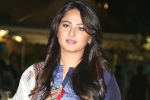 Anushka updates, Anushka next film, anushka signs two new films, Homework