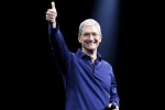 apple ceo tim cook, programming job, apple ceo tim cook believes a four year degree not needed to get a programming job, Apple store