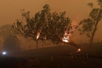 forest land, rains, australia fires warnings of huge blazes ahead despite raining, Firefighter