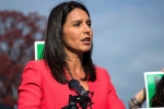 abraham williams tulsi gabbard, abraham williams tulsi gabbard, being targeted for being a hindu claims tulsi gabbard, 2014 elections