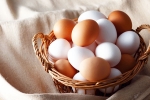 Brown Eggs Vs White Eggs, Brown Eggs Vs White Eggs, brown eggs vs white eggs which is healthy, Nri