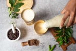 Buttermilk for Weightloss news, Buttermilk for Weightloss night, buttermilk before bed will help in weight loss, Toxins