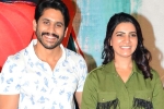 Naga Chaitanya, Naga Chaitanya news, naga chaitanya and samantha to work together again, Majili