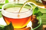chamomile tea, chamomile tea, is consuming tea linked to immunity, Green tea