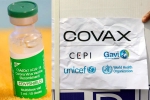 COVAX news, COVAX updates, sii to resume covishield supply to covax, Oxford university