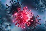 USA Coronavirus news, USA Coronavirus rise, delta variant makes usa tensed again, Pfizer