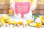Better Gut Health drinks, Better Gut Health latest, quick and easy drinks for better gut health, Vinegar