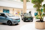 Car Sales September 2024, Car Sales September 2024 latest updates, electric car and suv sales reach lowest in september 2024, Mg windsor ev