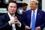 Elon Musk and Donald Trump spends, Elon Musk and Donald Trump budget, elon musk s big bet on donald trump, Donald trump s campaign