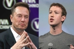 Elon Musk Vs Mark Zuckerberg latest, Elon Musk Vs Mark Zuckerberg updates, elon musk vs mark zuckerberg rivalry, Mark zuckerberg