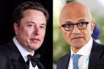 Elon Musk, Elon Musk Vs Satya Nadella news, elon musk s warning to satya nadella after gpt 5 launch, School