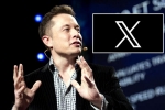 X, X subscription breaking news, elon musk announces that x would be paid for everyone, Revenue