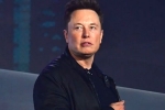 Elon Musk updates, Elon Musk breaking news, elon musk talks about cage fight again, Billionaires