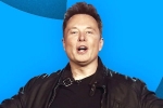 Elon Musk breaking updates, Elon Musk latest breaking, elon musk s new ultimatum to twitter staffers, Tesla