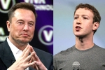 Elon Musk and Mark Zuckerberg war, Elon Musk and Mark Zuckerberg breaking, elon vs zuckerberg mma fight ahead, John a