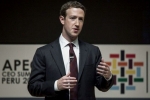 company, Facebook, facebook ceo refuses to quit amid pressure from investors, Mark zuckeberg