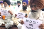 farmers, wholesale markets, why farmers and politicians are against modi s farm laws, Commission agents