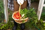 Fruits and Veggies updates, Fruits and Veggies homemade, fruits and veggies that are easy to grow at home, Young man