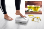 Green Tea for Weight loss news, Green Tea for Weight loss, can consuming green tea really help in weight loss, Skin care