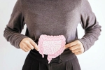 Gut Vs Skin news, Gut, your gut decides about your skin, Nv prasad