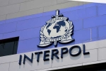 PNB fraud case, Mehul Choksi, pnb fraud interpol issues rcn against mihir rashmi bhansali, Mihir rashmi bhansali