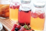 Kombucha and Fermented Foods health updates, Kombucha and Fermented Foods for health, health benefits of kombucha and fermented foods, Culture