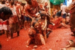 tomatina festival 2019, tomatina festival 2019, la tomatina 2019 thousands hurl fruit at fun food festival, La tomatina
