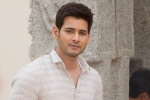 Mahesh Babu new film, Mahesh Babu latest, mahesh s new year gift for his fans, Spyder Mahesh Babu new film, Mahesh Babu latest, mahesh s new year gift for his fans, Spyder