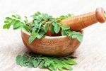 Moringa in diet, Moringa health benefits, is moringa a must have in your diet, Health issues