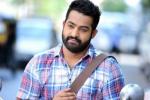 NTR news, NTR new movie, official ntr s next film locked, Sardar gabbar singh