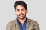 Naga Chaitanya new movie, Naga Chaitanya new film, interesting title for naga chaitanya s next, Majili