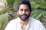 Naga Chaitanya movies, Naga Chaitanya movies, naga chaitanya makes interesting comments, Sobhita dhulipala
