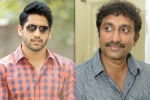 Srinu Vaitla next film, Naga Chaitanya updates, naga chaitanya to work with srinu vaitla, Mister Srinu Vaitla next film, Naga Chaitanya updates, naga chaitanya to work with srinu vaitla, Mister