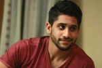 Naga Chaitanya new film, Naga Chaitanya web series, naga chaitanya in talks for a web film, Web film Naga Chaitanya new film, Naga Chaitanya web series, naga chaitanya in talks for a web film, Web film