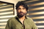 Nagarjuna Personal Rights news, Nagarjuna Personal Rights Delhi Court, delhi high on nagarjuna s personal rights, Actress