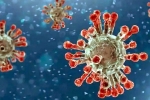 China Covid Row news, China, new china coronavirus variant traced in india, Omicron