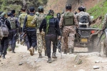 Pahalgam attackers likely hiding in south Kashmir: NIA