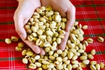 Pistachios, Pistachios protein, pistachios are a perfect protein snack, Healthy