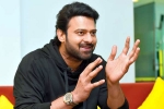 Salaar, Project K, prabhas 25th film announced, Kabir singh