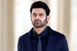 Prabhas Raja Deluxe, Prabhas pan Indian film, new updates of prabhas and maruthi film, Boman irani