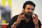 Maruthi, Sree Leela, two young beauties in talks for prabhas next, Pelli sandad