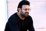 Prabhas25 breaking updates, Prabhas25 director, prabhas to offer a new treat for his fans, Prabhas25