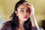 Priyanka Chopra latest, Priyanka Chopra, priyanka chopra breaks silence on don t look for virgin wife comment, Valu
