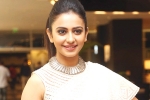 Harish Shankar, Rakul Preet Singh latest, rakul preet s multi starrer, Actress rakul preet singh