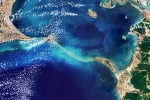 Ram Setu pictures, Ram Setu pictures latest breaking, ram setu s pictures from the space, Birds
