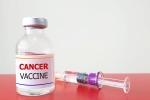 Russia Cancer Vaccine, Russia Cancer Vaccine, russia claims cancer vaccine discovery oncologists sceptical, College