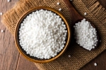 Sabudana advantages, Sabudana, is sabudana good for health, Spice